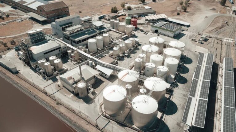 Linares Biodiesel
