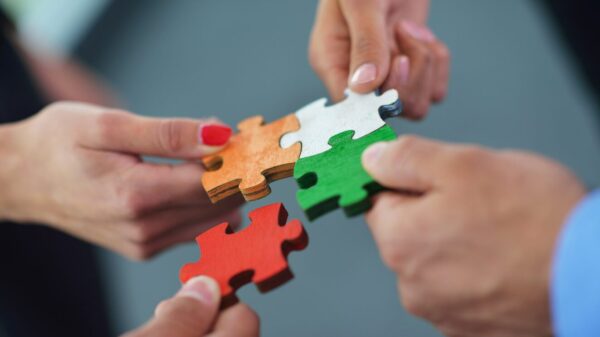 Puzzle, compras del sector TI en 2025