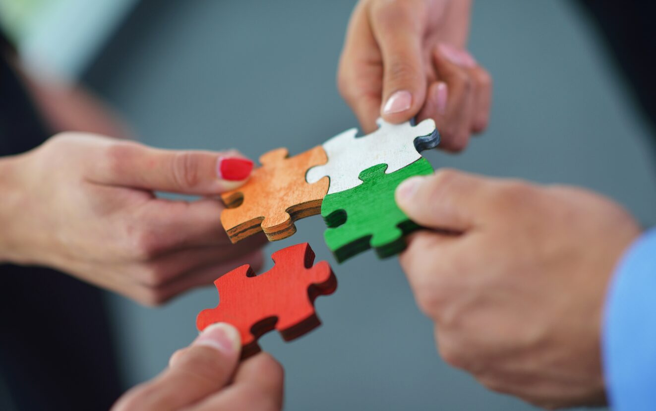 Puzzle, compras del sector TI en 2025