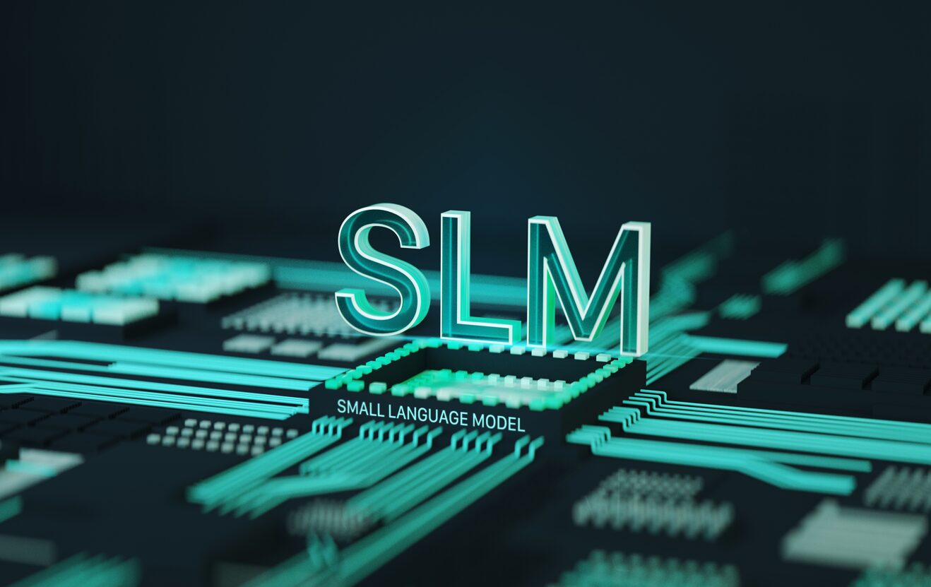 Small Language Model (SLM)
